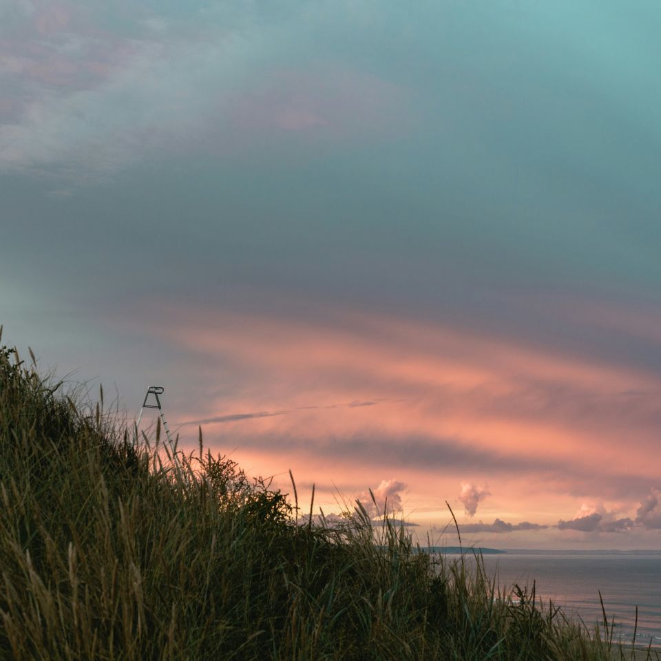 En bild vid have i Falkenberg