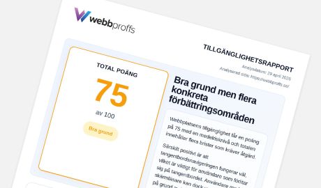 Exempel på framsida på vår tillgänglighetsrapport